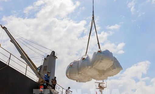 Thị trường nông sản: Giá gạo Việt Nam ổn định
