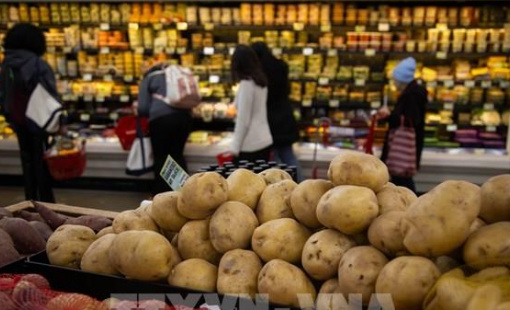 Lạm phát Mỹ ngày càng chịu sức ép lớn hơn từ thuế quan