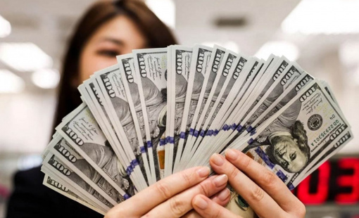 Tỷ giá USD/VND tạm ngưng đà tăng