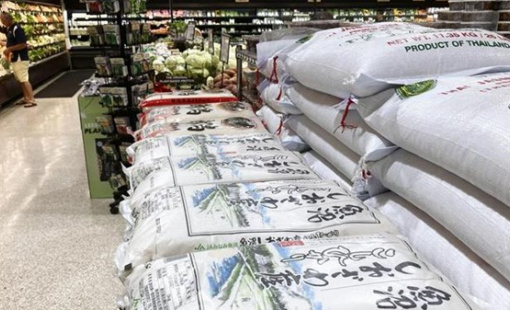 Giá gạo Nhật Bản lại "phi mã"