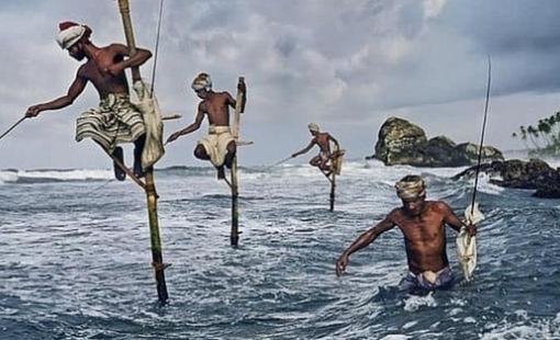 Phiên 23/7: Khối ngoại trở lại mua ròng, "tung" hơn 500 tỷ gom FRT và một cổ phiếu ngân hàng