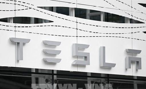 Tesla sản xuất xe giá rẻ