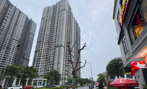 Đâu là tâm điểm tăng giá của thị trường chung cư?