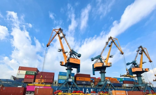 Doanh nghiệp có đội tàu container lớn nhất Việt Nam chốt quyền nhận cổ tức tổng tỷ lệ 40%