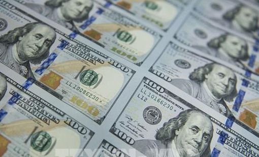 USD chạm đáy hai tuần, hướng tới mức giảm mạnh nhất trong một tháng