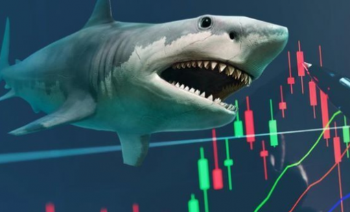 CTCK điểm tên loạt doanh nghiệp có tiềm năng tăng trưởng, kỳ vọng "hút" tiền