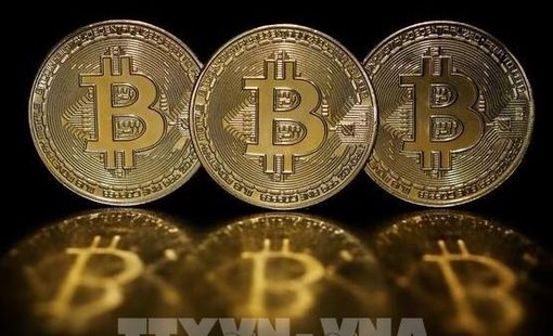 Bitcoin lập kỷ lục mới khi nhà đầu tư đổ xô vào các tài sản rủi ro