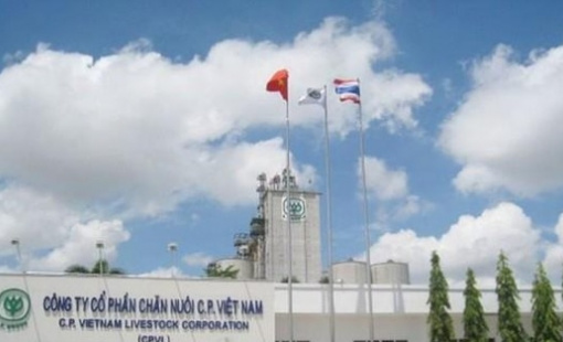 Sau lùm xùm heo bệnh, đại gia Thái Lan C.P. vẫn tăng trưởng doanh thu bán thực phẩm, kiếm tổng cộng 43.000 tỷ ở Việt Nam nửa đầu năm 2025