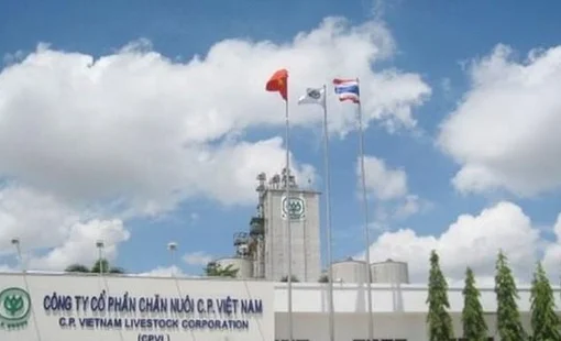 Sau lùm xùm heo bệnh, đại gia Thái Lan C.P. vẫn tăng trưởng doanh thu bán thực phẩm, kiếm tổng cộng 43.000 tỷ ở Việt Nam nửa đầu năm 2025