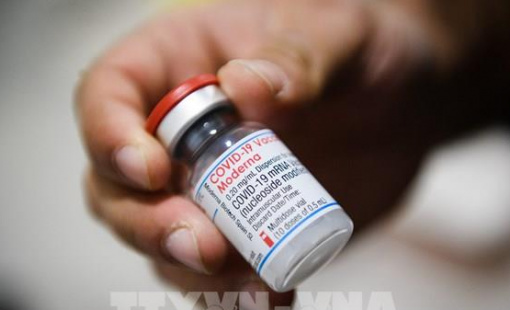 Moderna hạ dự báo doanh thu cả năm 2025