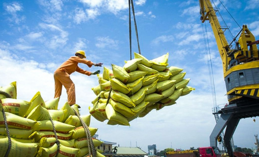 Triển khai "thần tốc" hơn nữa việc xuất khẩu gạo, nhất là gạo chất lượng cao, gạo hữu cơ