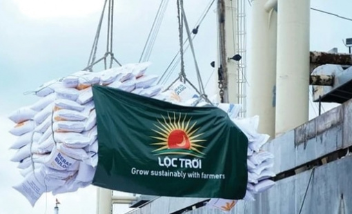 Thành viên ban kiểm soát Bamboo Capital (BCG) được đề cử vào ban kiểm soát Lộc Trời (LTG) giữa rối ren nhân sự