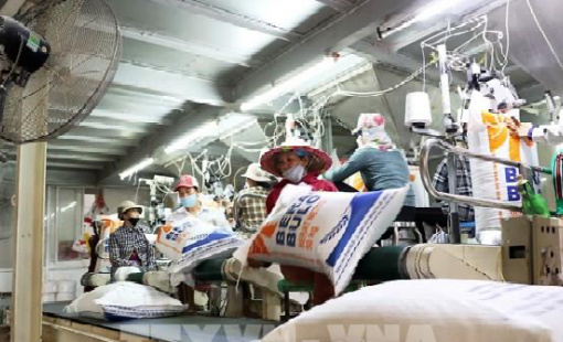 Giá gạo châu Á đồng loạt tăng