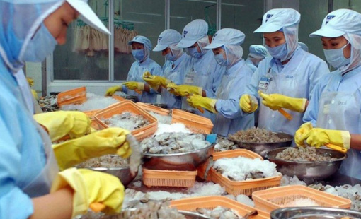 Xuất khẩu thủy sản: "Thuế chồng thuế" khi Mỹ áp thuế đối ứng 20%