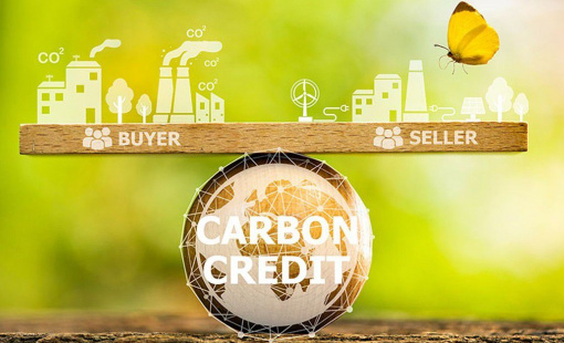 Thí điểm sàn giao dịch carbon 2025: Việt Nam chuẩn bị gì?