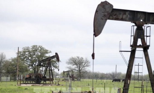 Chạy đua giành lại thị phần, OPEC+ sẽ tăng sản lượng?