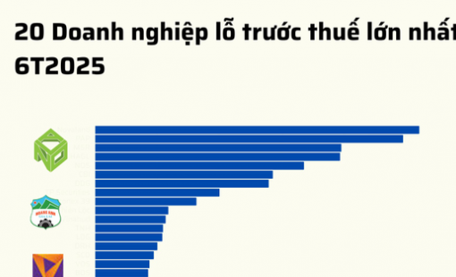 20 doanh nghiệp lỗ lớn nhất 6T2025: Novaland 'vô địch', bất động sản áp đảo, 8 doanh nghiệp lỗ trăm tỷ