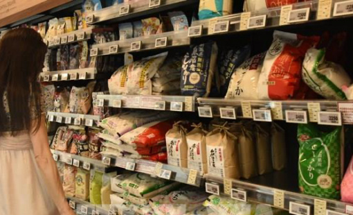 Mỹ đề xuất Nhật Bản tăng cường mua gạo Mỹ