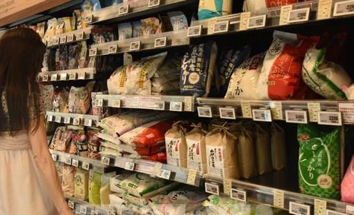 Mỹ đề xuất Nhật Bản tăng cường mua gạo Mỹ