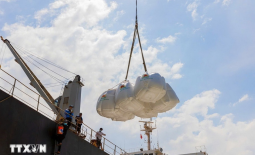 Giá gạo Ấn Độ ổn định, thị trường xuất khẩu tăng trưởng