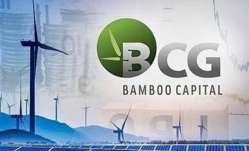 Cổ phiếu “họ” Bamboo Capital bất ngờ được nhà đầu tư “gom” đột biến, đồng loạt tăng “bốc đầu”
