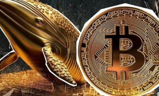 Bitcoin (BTC) là gì? Tất cả những điều cơ bản nhà đầu tư cần biết