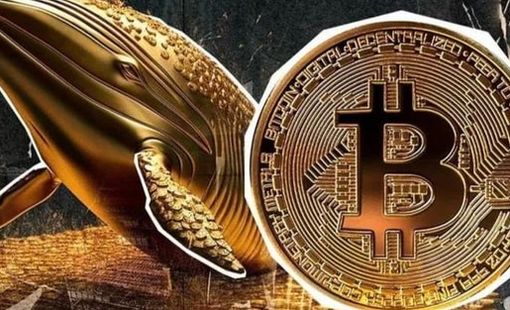 Bitcoin (BTC) là gì? Tất cả những điều cơ bản nhà đầu tư cần biết
