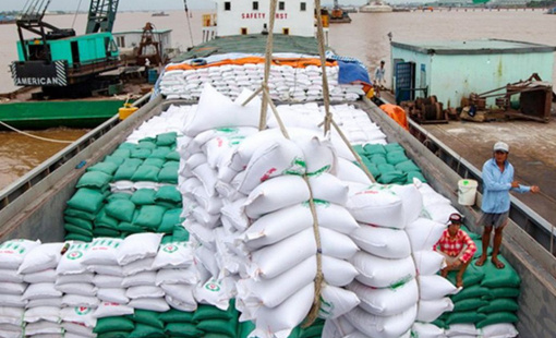 Thị trường Philippines mở lại, gạo Việt Nam đón cơ hội phục hồi xuất khẩu
