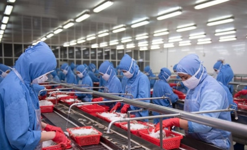 "Đại gia" tôm báo doanh thu tháng 8 tăng 32%, cao nhất kể từ đầu năm, cẩn thận trích lập gần 100 tỷ cho 3 loại thuế mới tại thị trường Mỹ