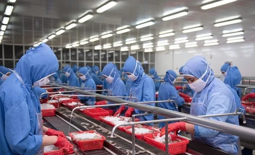 "Đại gia" tôm báo doanh thu tháng 8 tăng 32%, cao nhất kể từ đầu năm, cẩn thận trích lập gần 100 tỷ cho 3 loại thuế mới tại thị trường Mỹ