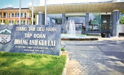 Thay đổi lô trái phiếu 1.000 tỷ của Công ty con Hoàng Anh Gia Lai (HAG): Giảm lợi tức được chia từ các công ty trông dâu tằm và cà phê còn 11,5%