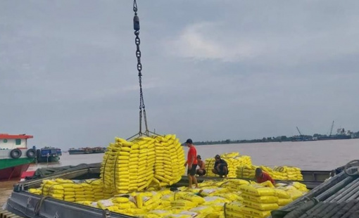 Xuất khẩu gạo cần chủ động đón cơ hội cuối năm