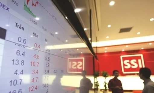 Tin vui: Gần 2.100 tỷ đồng sắp "chảy về túi" cổ đông Chứng khoán SSI