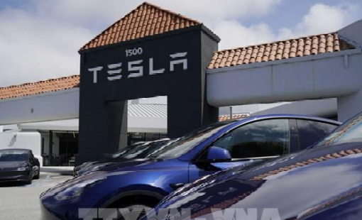 BYD và Tesla có thể bị thiệt hại nặng nhất do chính sách thuế mới của Mexico