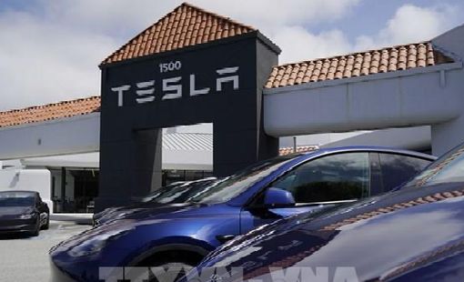 BYD và Tesla có thể bị thiệt hại nặng nhất do chính sách thuế mới của Mexico