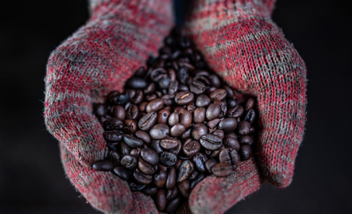 Giá cà phê tại Mỹ tăng mạnh nhất trong nhiều thập kỷ