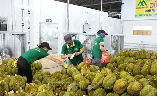 Giải mã thị trường Trung Quốc