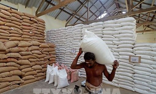 Ấn Độ lập kỷ lục về dự trữ gạo, lúa mì chạm mức cao nhất trong bốn năm