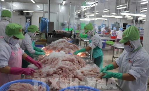 EU ban hành quy định mới về hàm lượng Asen trong cá, thủy sản nhập khẩu