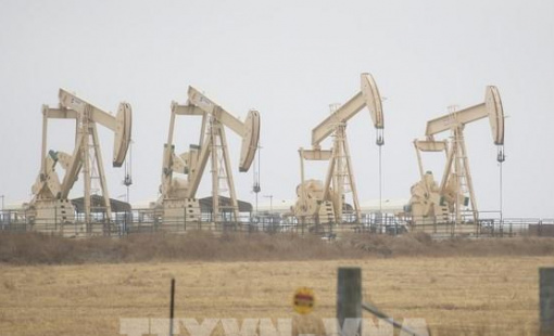 Thị trường dầu mỏ "kháng cự" áp lực từ việc Mỹ giảm lãi suất