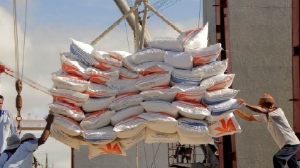 Indonesia nâng cao chất lượng gạo dự trữ để bảo đảm an ninh lương thực