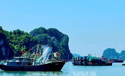 Bão số 9 tiến gần Quảng Ninh – Hải Phòng, đề phòng ngập lụt, sạt lở và gió giật mạnh