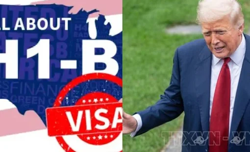 Chính sách visa mới của Mỹ thách thức mô hình gia công công nghệ ở Ấn Độ