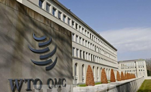 Trung Quốc thúc đẩy nỗ lực cải cách WTO