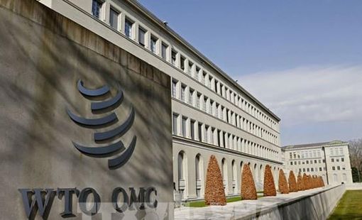 Trung Quốc thúc đẩy nỗ lực cải cách WTO