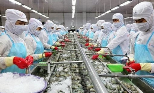 "Vua tôm" Việt Nam lập công ty con tại Australia