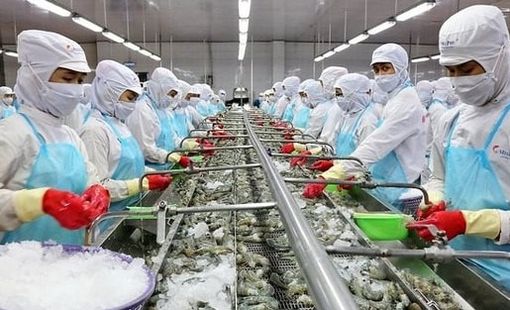 "Vua tôm" Việt Nam lập công ty con tại Australia