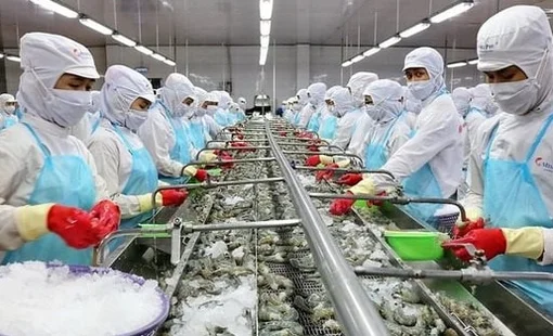 "Vua tôm" Việt Nam lập công ty con tại Australia