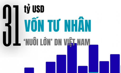 31 tỷ USD 'nuôi lớn' Masan, Tiki, Equest, Golden Gate... trong 1 thập kỷ từ dòng vốn tư nhân