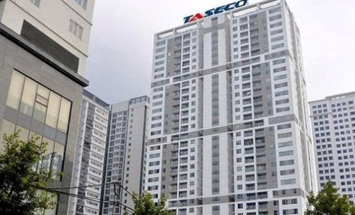 Nhóm Dragon Capital, SHS, VietinbankSC... rót gần 1.500 tỷ đồng vào Taseco Land, lập tức "lãi trên giấy tờ" hơn 50%